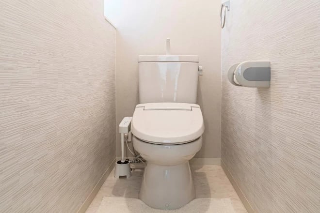 A toilet with a bidet seat