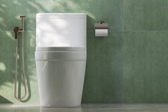 A toilet with a bidet sprayer attachemnt in a green bathroom