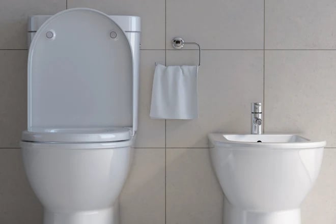 Toilet bowl and bidet in the modern bathroom